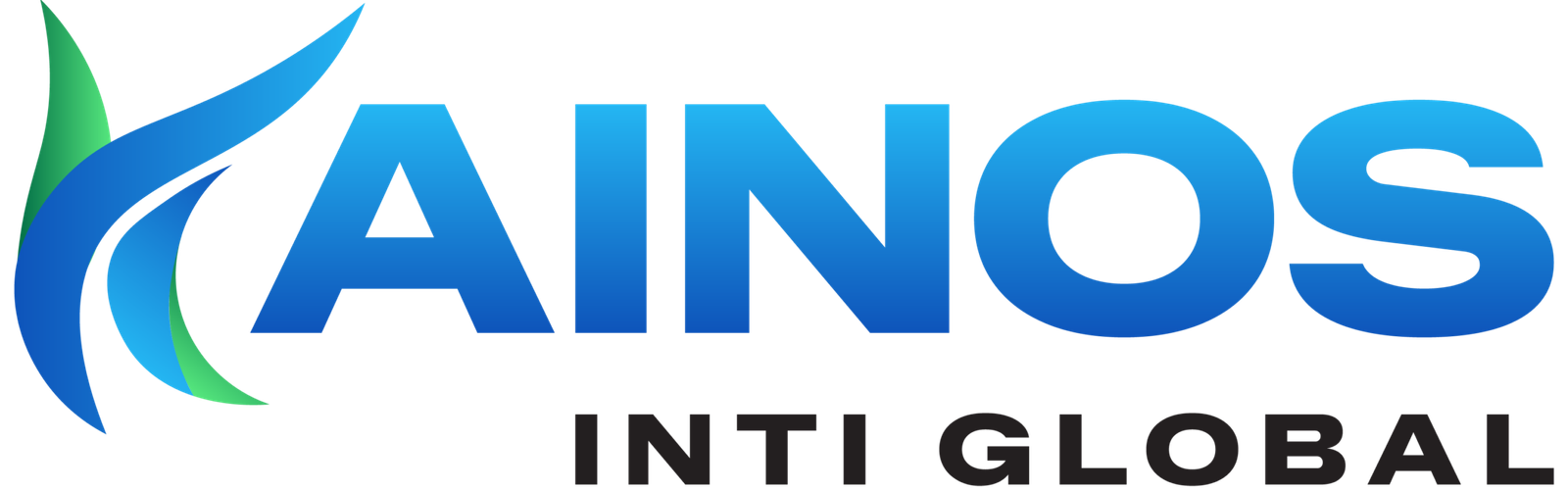 Final Logo - PT Kainos Inti Global (PNG)